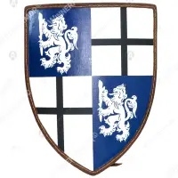 Custom European shield L