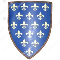 Custom European shield L