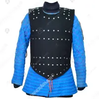 Brigandine Visby 3 sport version