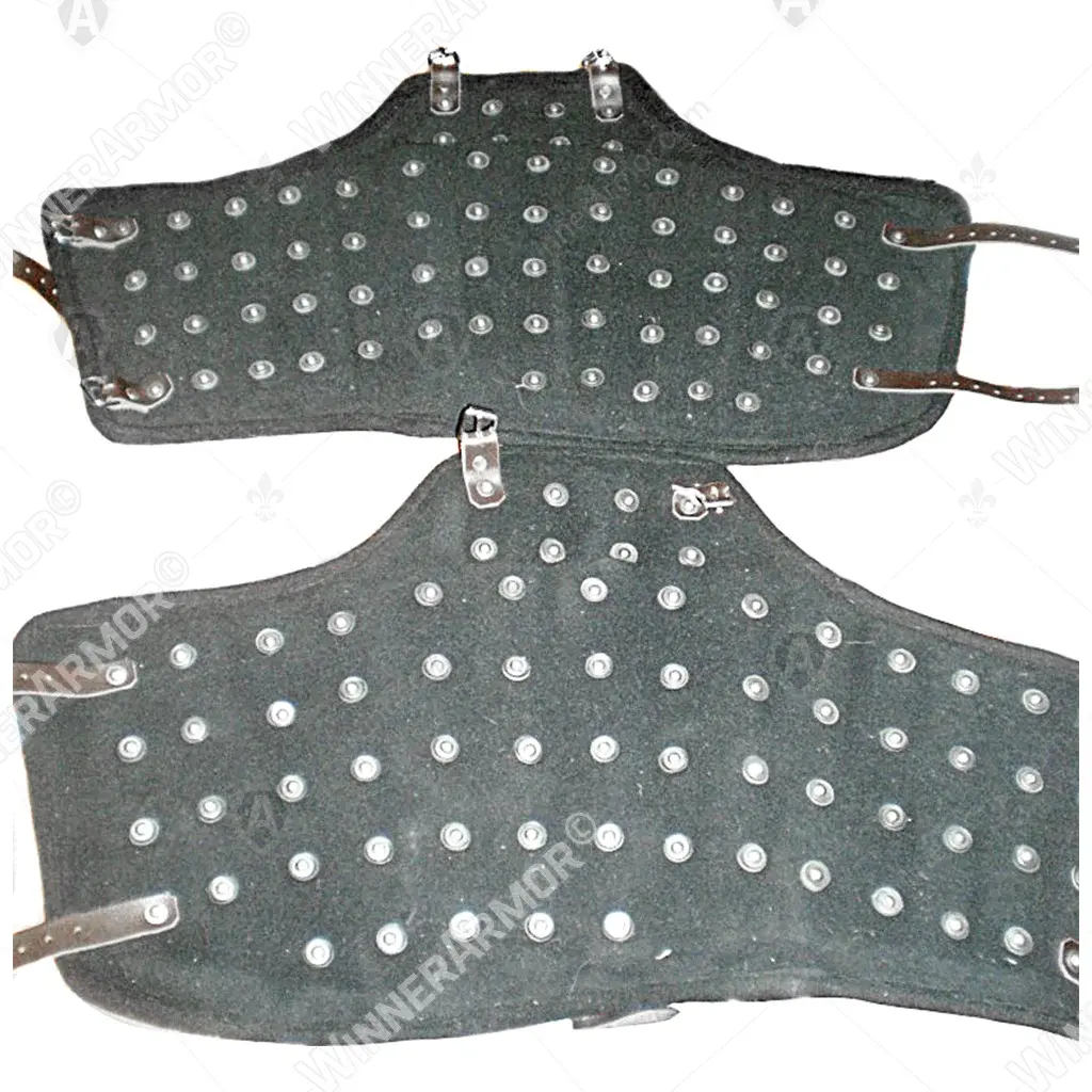 Brigandine hips protection