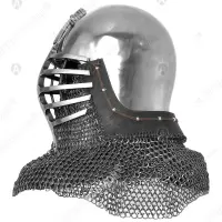 Wolf ribs helmet